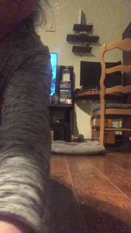 I am so #thankful for these two #PetsOfTikTok #WalmartSyncAlong #reactions #pets #special #BestFriends #comfort