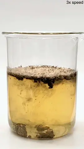 Little tree tumors #LearnOnTikTok #tiktokpartner #nilered