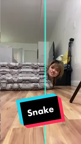 #TimeWarpScan #snake #imasnake #fy