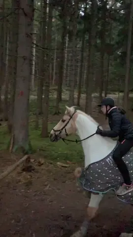 Hab mich absolut schon am Boden gesehen haha🤡 #fail #horsefail #viral #pony #nuggi #palomino #horse #fyyy