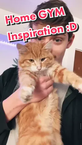 The home gym setup #bodybuilding #fyp #foryou #homegym #workout #inspiration #gymshark