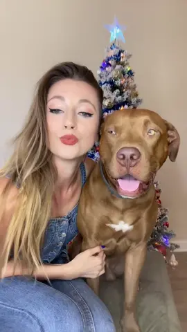 #victoriasecret #model #SuperModel #dogsoftiktok #lovedogs #fyp #foryou #viral #pitbull #dogs #dc