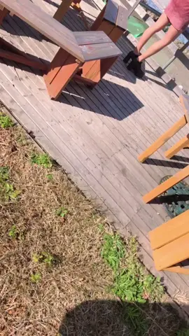 久々に晴れて気持ちいい🌞