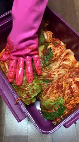 the process of making kimchi ☺️✨      ✨#kimchi #koreanfood #kfoodies