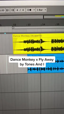 This mashup got me like 🥵 #tonesandi #dancemonkey x #flyaway #mashup #fyp #foryou