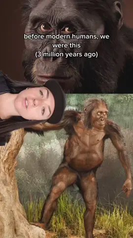 shoutout to tiktaalik #prehistoric #evolution #EduTok #themoreyouknow #evolve #animals #History