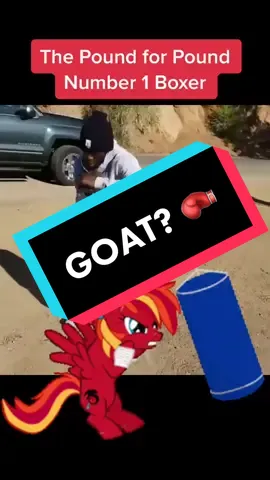 Undefeated 👑 #boxing #poundforpound #pound4pound #boxing🥊 #terencecrawford