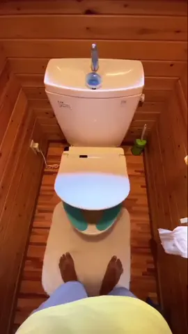 missing Japan 🇯🇵