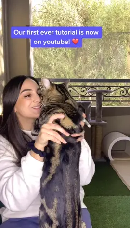 What do you think we should do next? #fyp #foryou #foryoupage #catsoftiktok #WildAnimals #selenanetflix #duet #trending