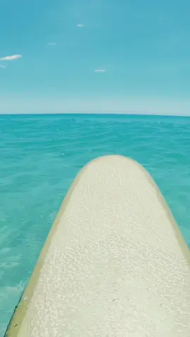 In between waves 🌞 #australiansummer #aussiesummer #aussiesummercheck #australiatravel #surf #surfing #ocean #calming #surfline