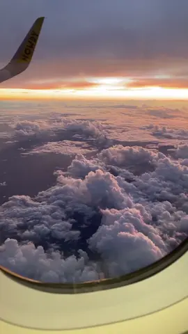 Puerto Rico 🥰 have you ever been here ? #fyp #foryou #food #hungry #food