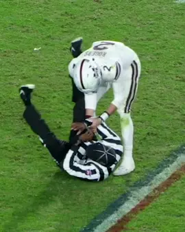 He accidentally hit the ref while celebrating. 😦