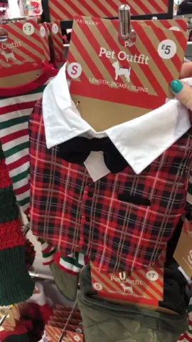 Even more cute pet outfits 😍🐶 #disney#disneyfinds#primark#fyp#tiktokdisney#foryou#petoutfits#disneyuk#primarkdisney#thechild#petoutfits