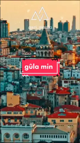 tu gula dilê minî#ari_muzik