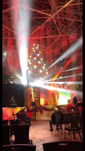 Christmas tree light and Cirque Show at the Gaylord Palms #gaylordpalmsorlando #orlando #christmas #fyp #christmastree #REMDreamCheck