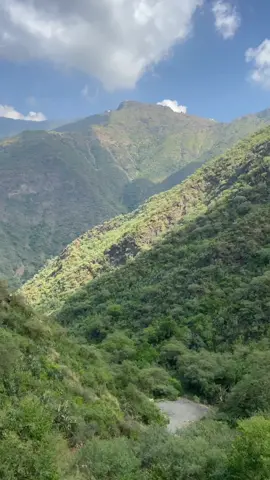 كل مكان أخضر من أودية رجال ألمع..⛰🥺🌥 #رجال_المع #الجنوب