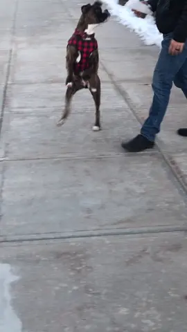 another day another ice run #UpTheBeat #ThinkingAbout #foryoupage #fyp