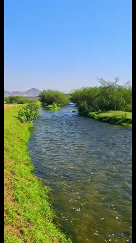تصوير في وادي سد حلي#الجنوب_الباحه #مناظر_طبيعيه #مناظر_جميله #اجواء_شتوية #غامد_الهيلا #زهران_العناصي #مناظر_خلابه #سد_حلي #وادي_حلي #سد_وادي_حلي