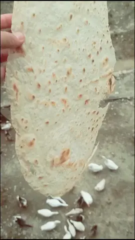 خوای گەورە دەفەرموێ؟لەتو حەرەکەت لەمن بەرەکەت...
