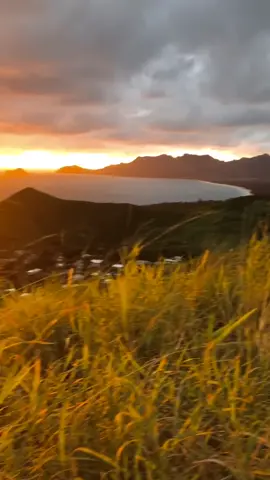 Good morning 🌅  🌺 #hawaii #nature #sunrise #hike #fyp #travel #HouseTour #ThinkingAbout