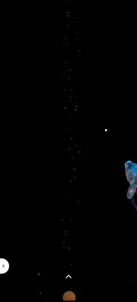 Ikan live mentahan #tren #fyp #foryou #viral #trend2020