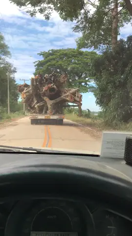 ก้อพอมีงานวิ่ง. #ริมโขง#กะเมงสะเร็น