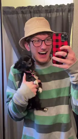 2019 Jolly 😂❤️ #foryou #foryoupage #feature #featureme #pets #dogs #tiktok