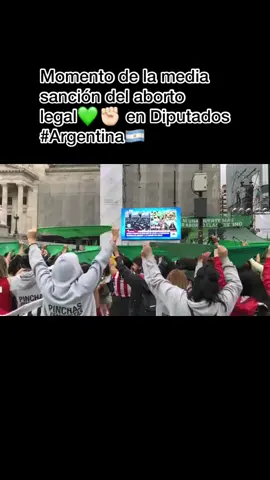 #feminismo #feminismo #abortolegal #argentina #congreso #albertofernandez #kirchnerismo #frentedetodos #pañueloceleste #noalaborto #canosa #milei