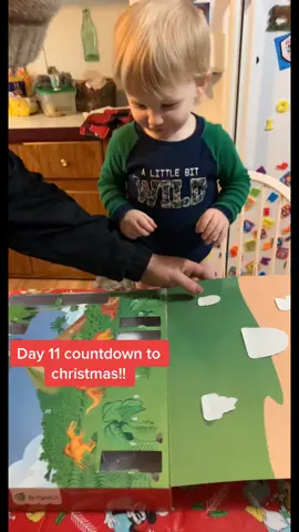 Countdown to Christmas! #day11 #grandson #msmamaw #dinosaurs