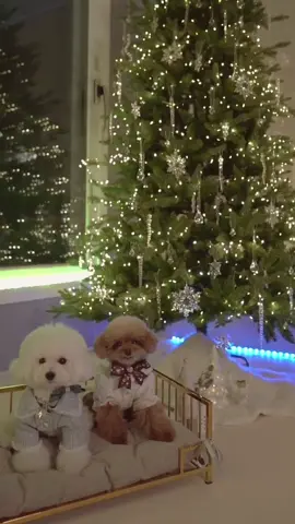 Merry Christmas🎁 #미리메리크리스마스 #미소아라 #foryou #fyp #christmas