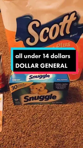 another deal all under $14 thank you dollar General #CancelTheNoise #ComfortFood #TheWildsChallenge