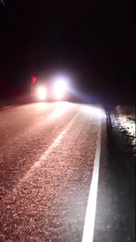 Read bio for full video #foryou #xyzbca #missing #stranger #escape