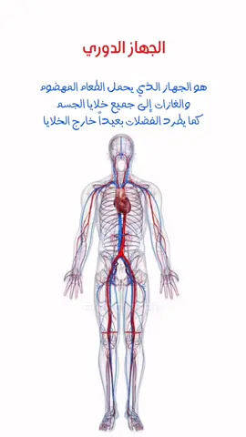 علوم ثاني متوسط الجهاز الدوري #علوم_ثاني_متوسط #منصتي #منصة_مدرستي #اوتاكو_للابد #انمي #انميشن #اكسبلور #جهاز_الدوران #الجهاز_الدوري