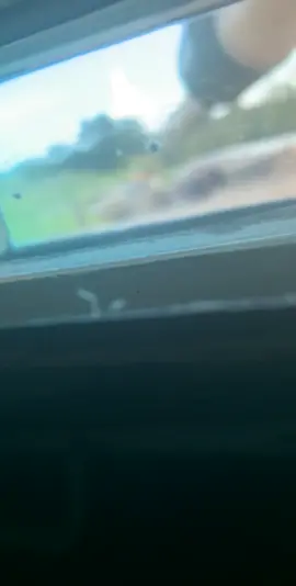 Full send or nah? Cows give no fucks, be a cow #cow #tank #abrams #m1a2 #army #marines #navy #airforce #fullsend #texas #cav #fyp #heythere