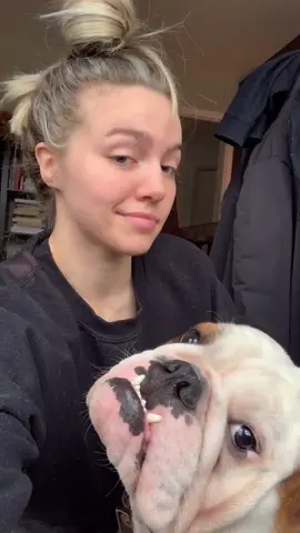 I tried to do the “dance with your pet” trend and well... 🙄 #bulldogsoftiktok #fyp
