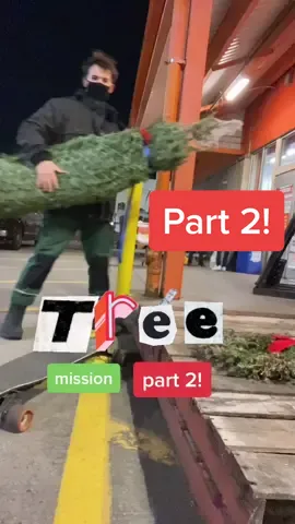 Part 2: Decoration Time 🎄#fyp #christmasdecorations #christmastree #DIY