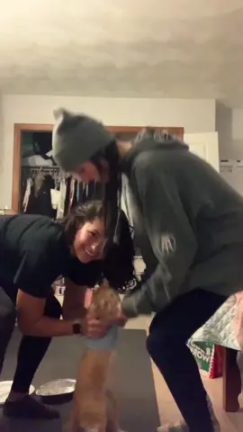 meepers chose violence today @mauraaaaah #TheProm #MakeItVogue #MONCLERBUBBLEUP #GoodMorning #CancelTheNoise #fyp #funnycat #bsf #lmao #cats #kitty