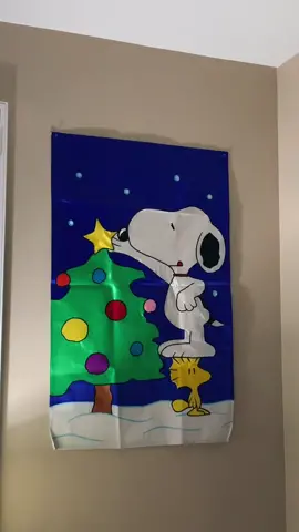 are you a grinch or do you like Christmas🥺🎁???