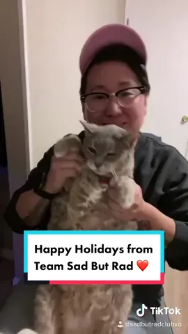 Happy Holidays! 😻 #fyp #CancelTheNoise #MakeItVogue #sadbutradclub #catsoftiktok #christmas #queertiktok #cats