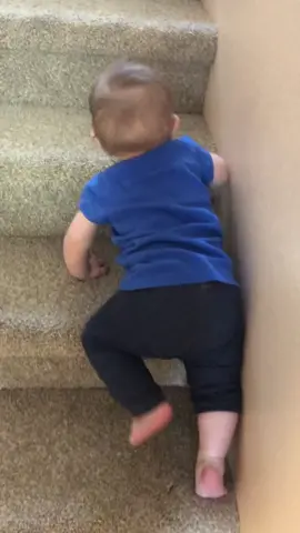 Why is my 10 month old climbing the stairs already?? #babiesoftiktok #climbingstairs #growingup #wahm #girlmom #bossbaby #boss #fyp #loveher #foryou
