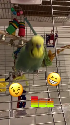 Tout le monde se met à la 