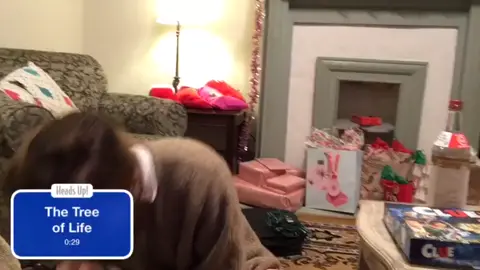 part two you love to see it #merrychristmas #headsup #fyp