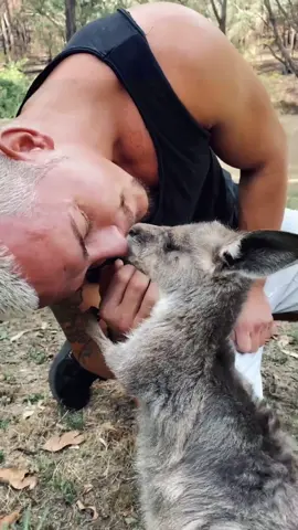 Comment below what you know about kangaroos 😍🦘