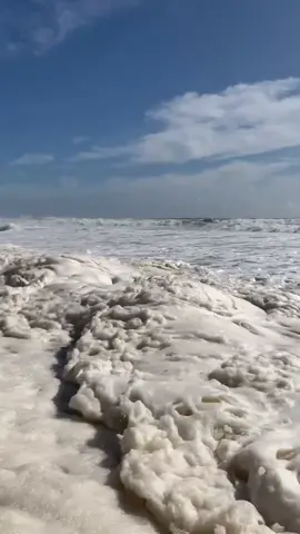 #seafoam #sea #foam #ocean #australia #summertime #beach #goldcoast #party #nature #beautiful #swim #fun