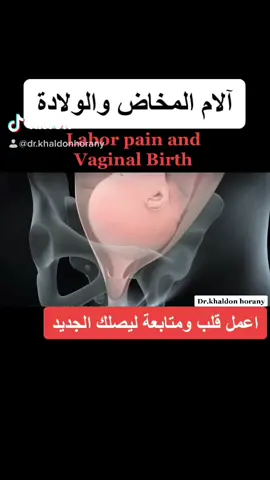 #طبيب_تيك_توك #د_خلدون_الحوراني #fyp #askthedoctor #doctor #medicine #health #foryou #tiktok #trending