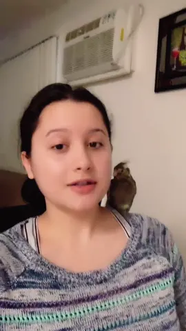 A day in a life of a mama bird 🥸 #fyp