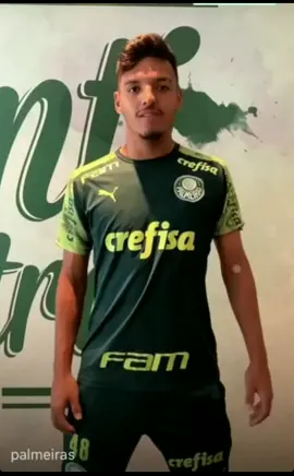 Gabriel menino do Palmeiras #palmeiras #gabrielmenino #manchaverde #gambazada #torcidaorganizada #verdao #palestra
