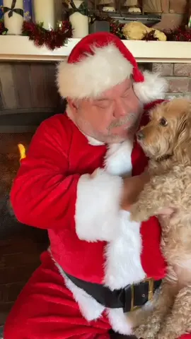 #stitch with @dino.and.ruby Happy Holidays to all the good boys and girls #dogsoftiktok #santa #kevinchamberlin #fyp #rescuedog