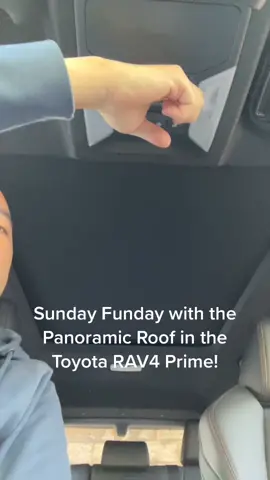 @toyota #carsoftiktok #toyota #rav4 #sundayfunday