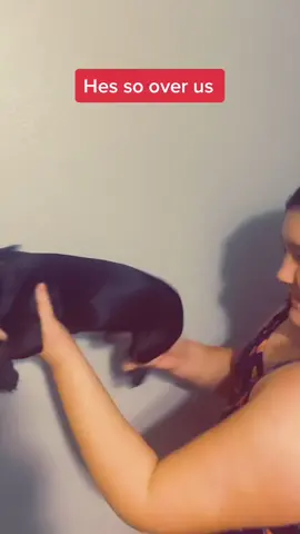 #ramonayalachallenge #parati al perrito le encanta jugar con nosotros nadie fue lastimado en este vídeo 😉